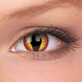 Hullu yhden päivän lohikäärmeen silmät